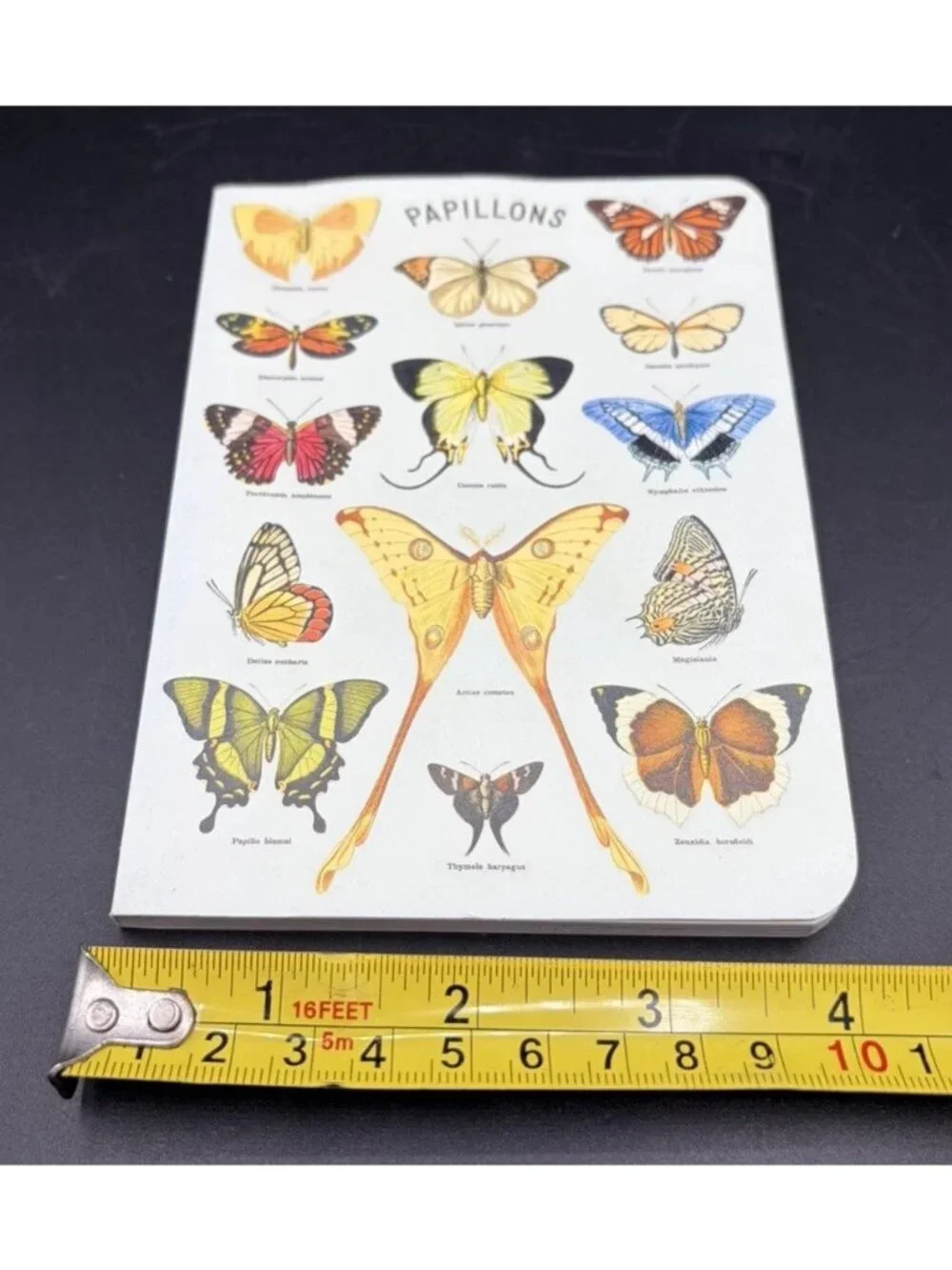 Cavallini & Co Butterflies Papillons Unlined Blank Journal Stationery USA